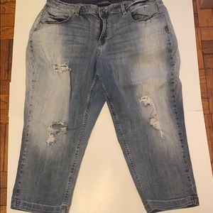Lane Bryant Distressed Crop Jeans